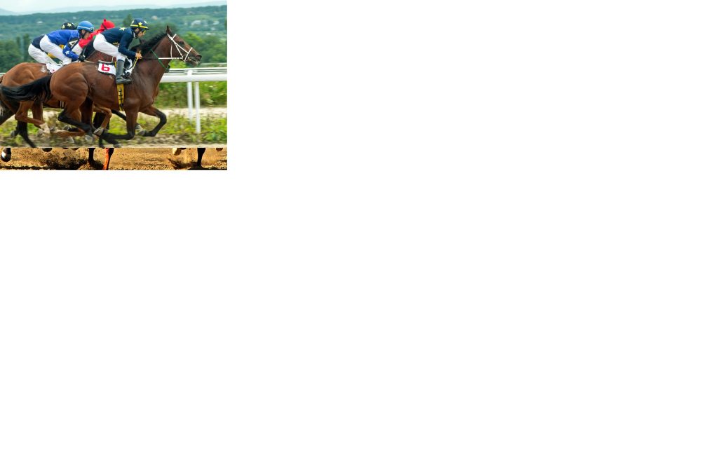 Each Way Betting on Horse Racing Described